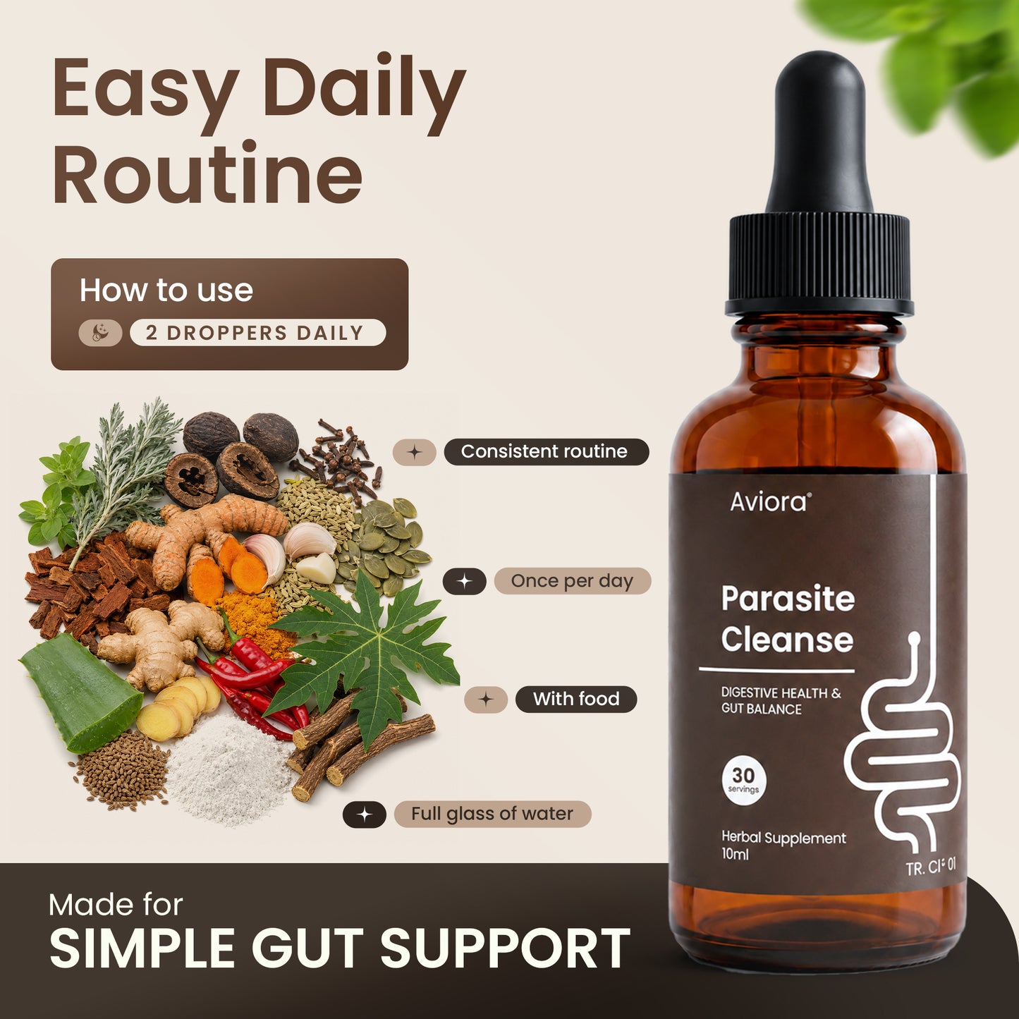 Black Walnut Wormwood Clove Gut Cleanse