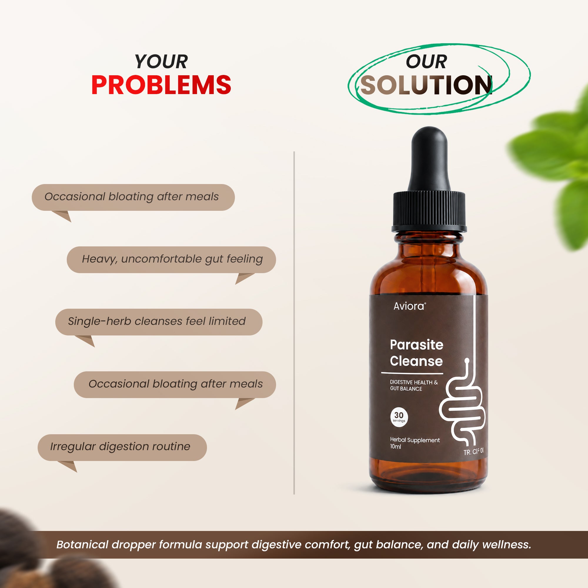 Black Walnut Wormwood Clove Gut Cleanse